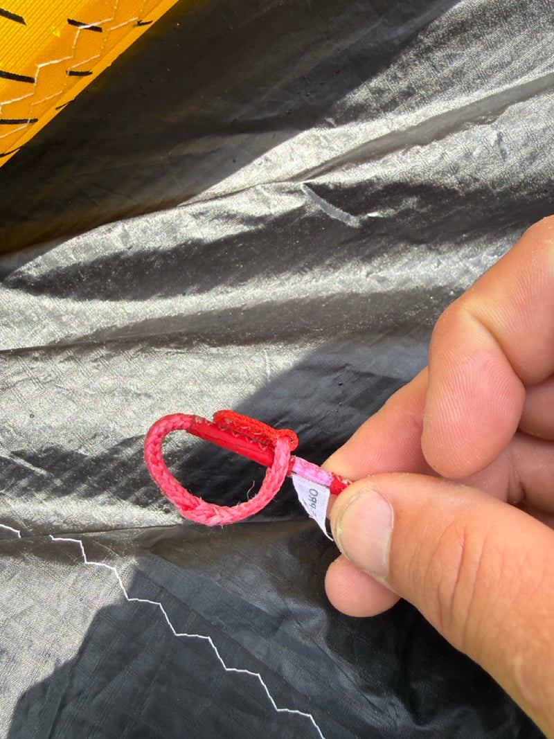 Load image into Gallery viewer, pig tails