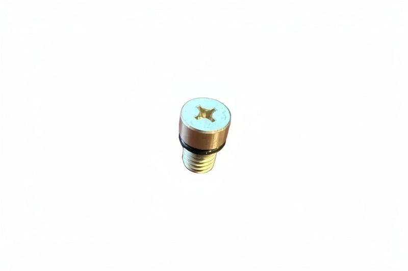 Load image into Gallery viewer, single screw on a white surface