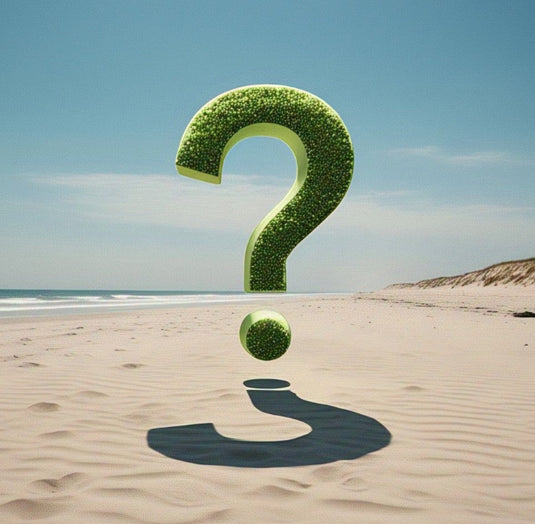 Green Hat Kiteboarding-Pages-Contact Us-Recommendation Forms link. Question Mark on Beach