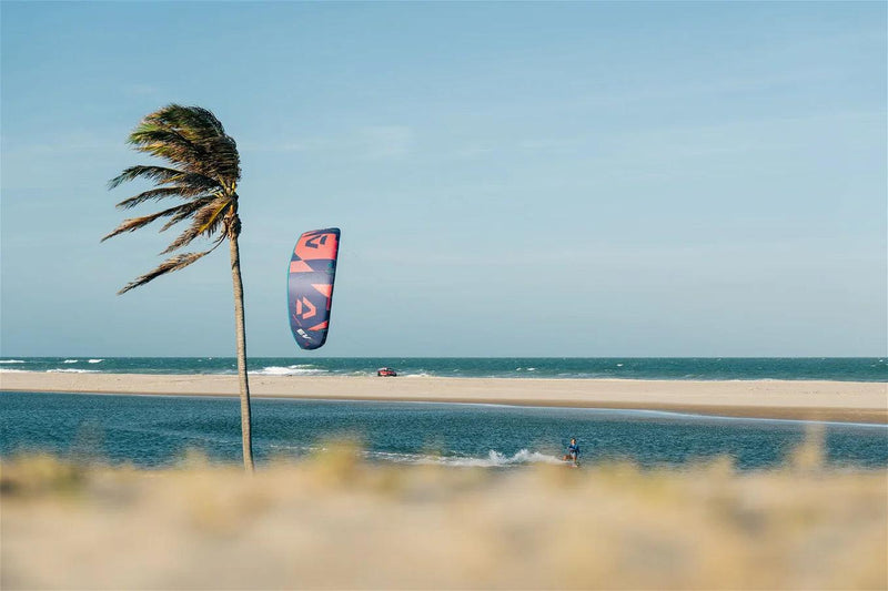 Load image into Gallery viewer, Duotone EVO Coral/Heron color-Kite flying behind a palm tree on flat water near the ocean