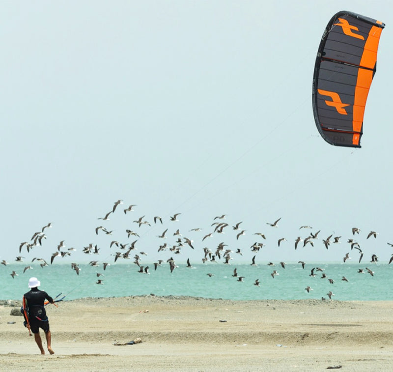 Load image into Gallery viewer, F-One Bandit XVI Kitesurfing Kite
