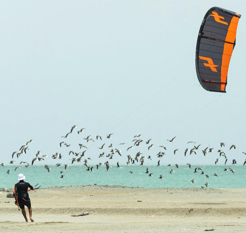 Load image into Gallery viewer, F-One Bandit XVI Kitesurfing Kite