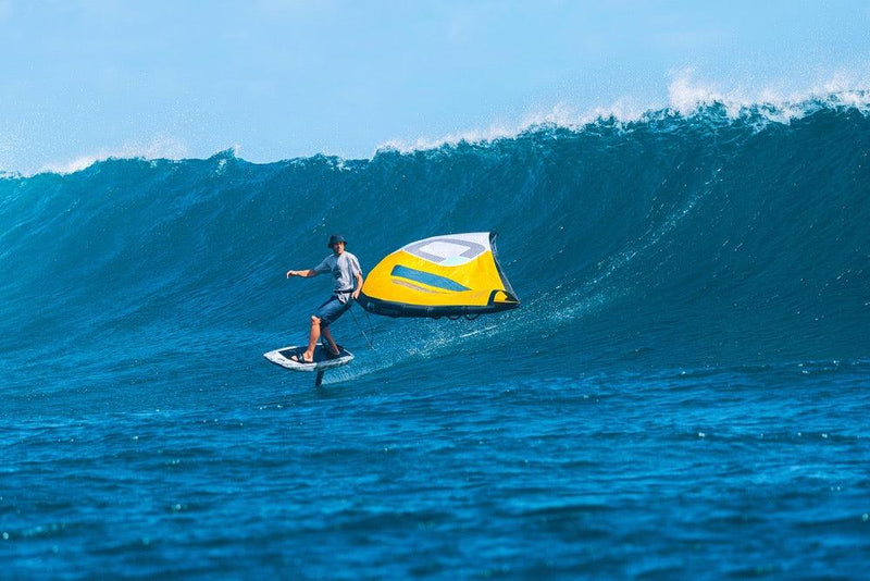 Load image into Gallery viewer, Ozone Wasp V3 WING ASSISTED SURF/SNOW/SKATE PROPULSION