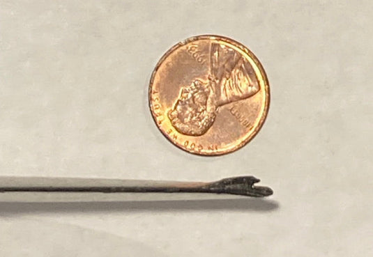 DW 210_USED-View of wing Tip damage on  Bottom of Stab tip scaled with penny