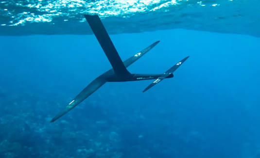 2026 Duotone Front Wing Crest D/Lab