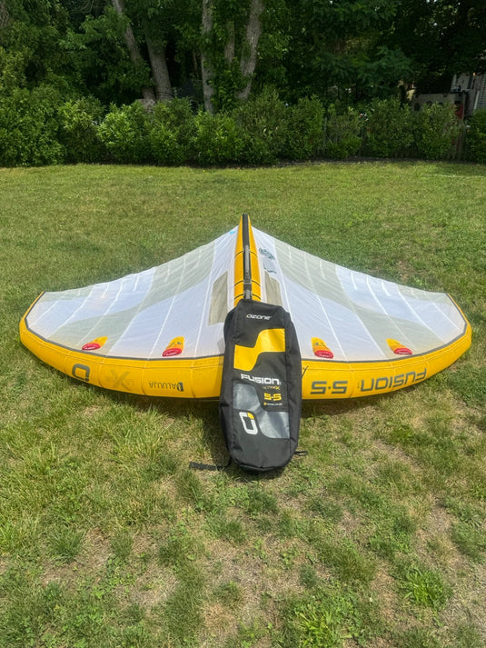 Wing and bag