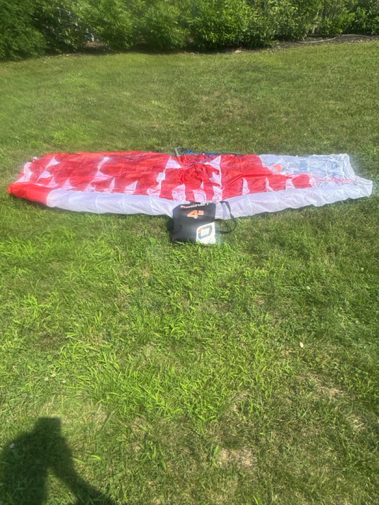 Wing and bag