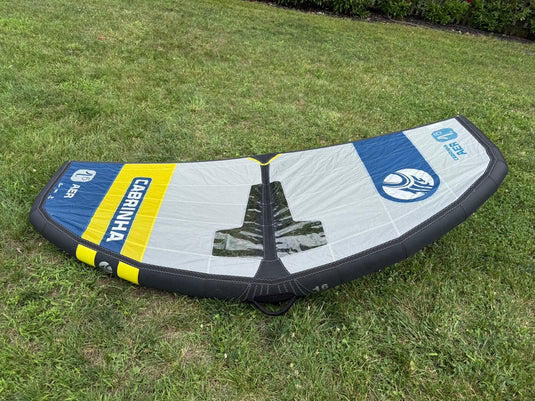 Wing leading edge and canopy