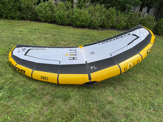 Wing leading edge and canopy