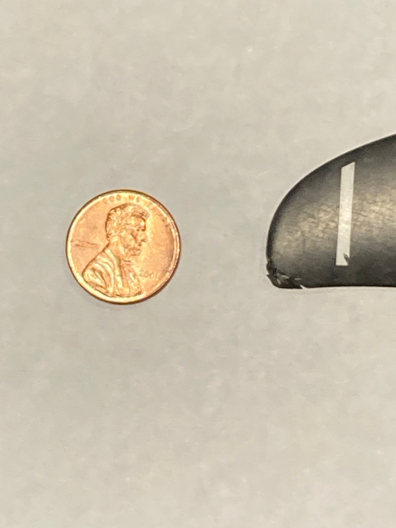 Load image into Gallery viewer, GHK-Armstrong HA 880 Complete Foil Kit-Top of Speed 180 Stab Tip next to penny
