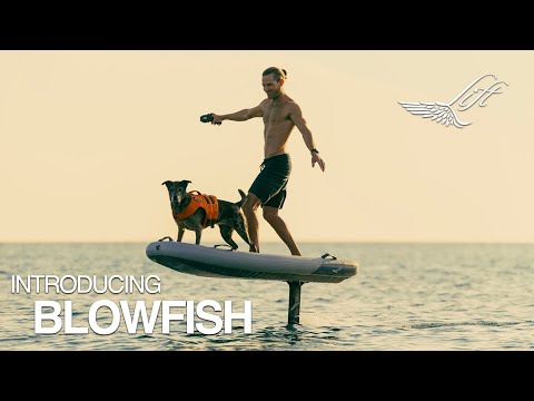 Load and play video in Gallery viewer, Lift Blowfish
